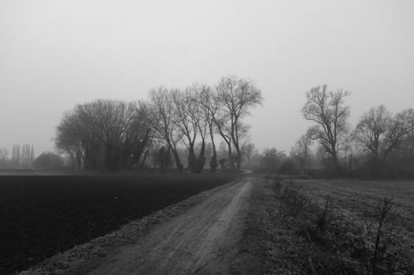 randonnee-de-lepihanie-flines-les-raches-2017-88