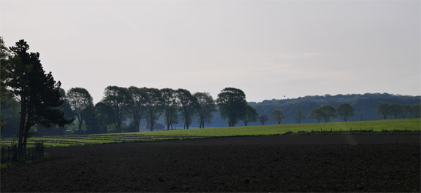 Monts et Plaines - Houplines 2019 19